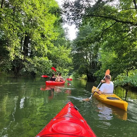 Paklada Caloroczny 2