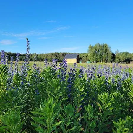 Prázdninový dům Paklada Caloroczny 2
