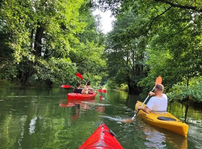 Paklada Caloroczny 3