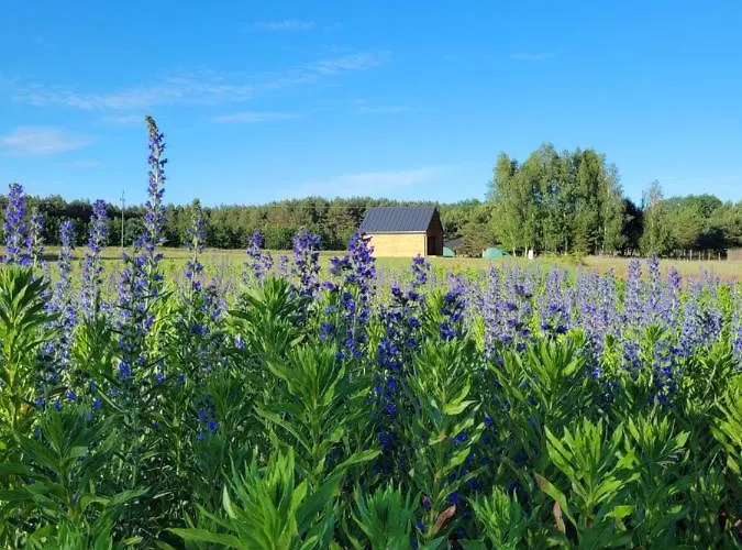 Feriehus Paklada Caloroczny 3